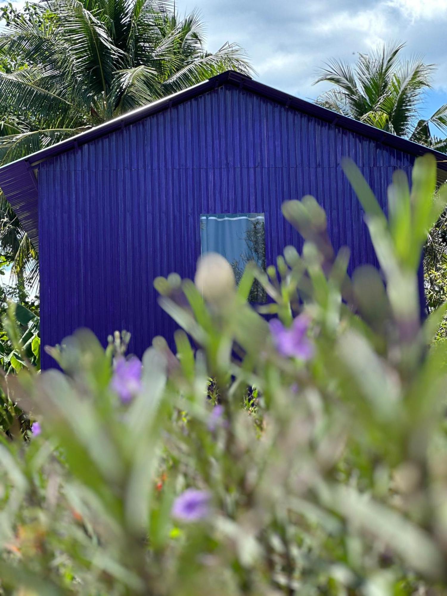 Hide Away Bungalows In Ben Tre City Екстериор снимка