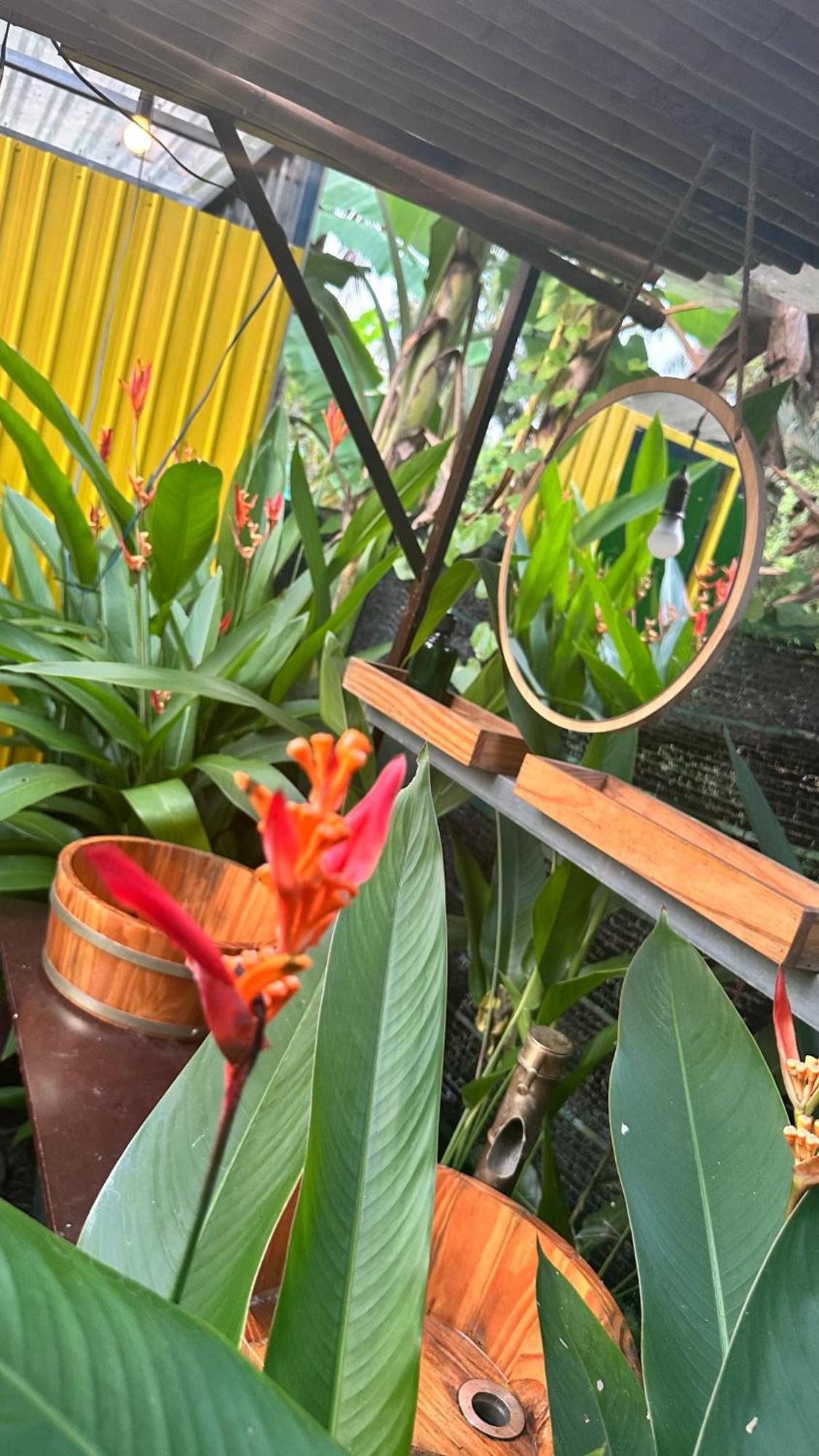 Hide Away Bungalows In Ben Tre City Екстериор снимка
