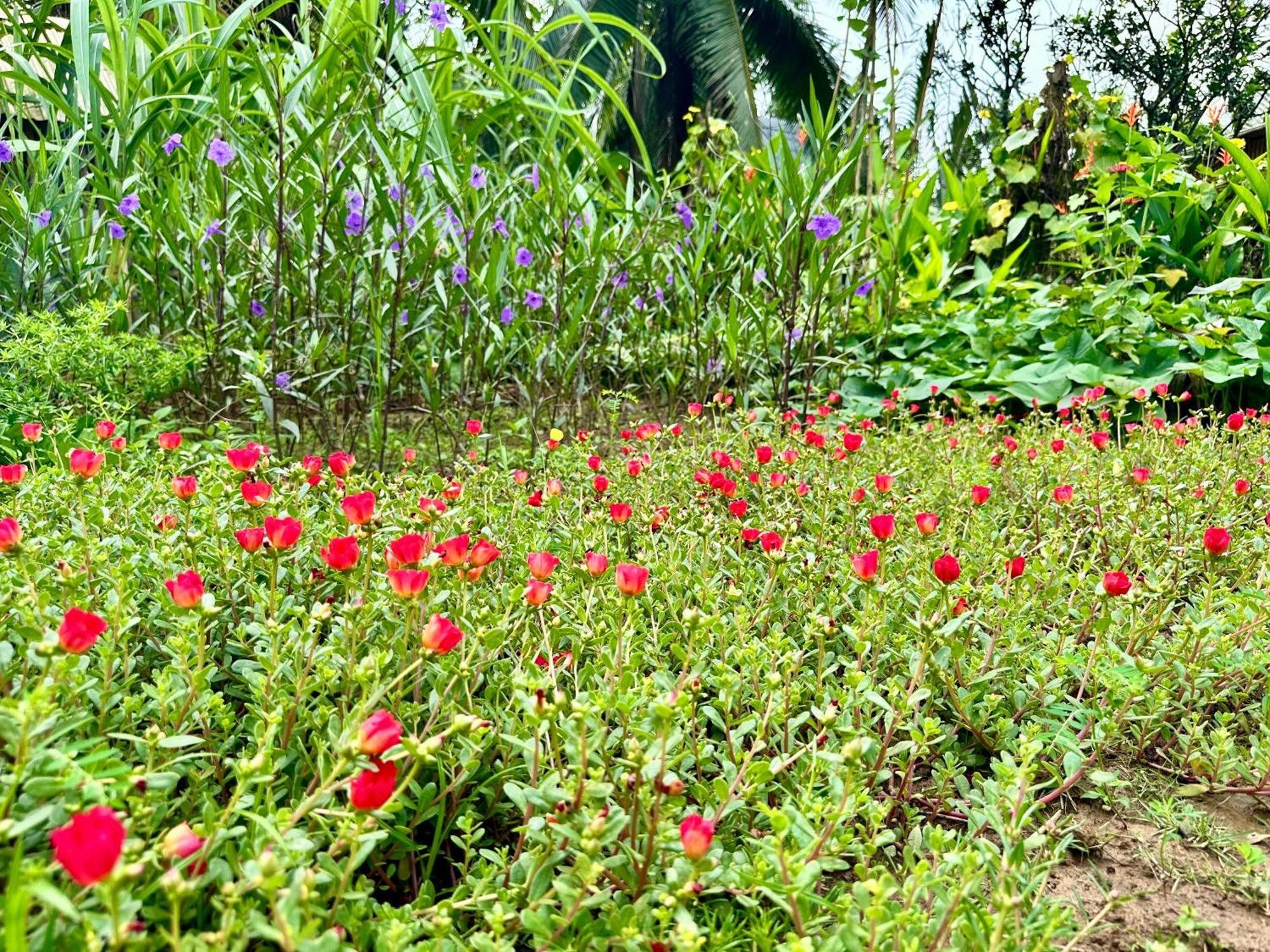 Hide Away Bungalows In Ben Tre City Екстериор снимка