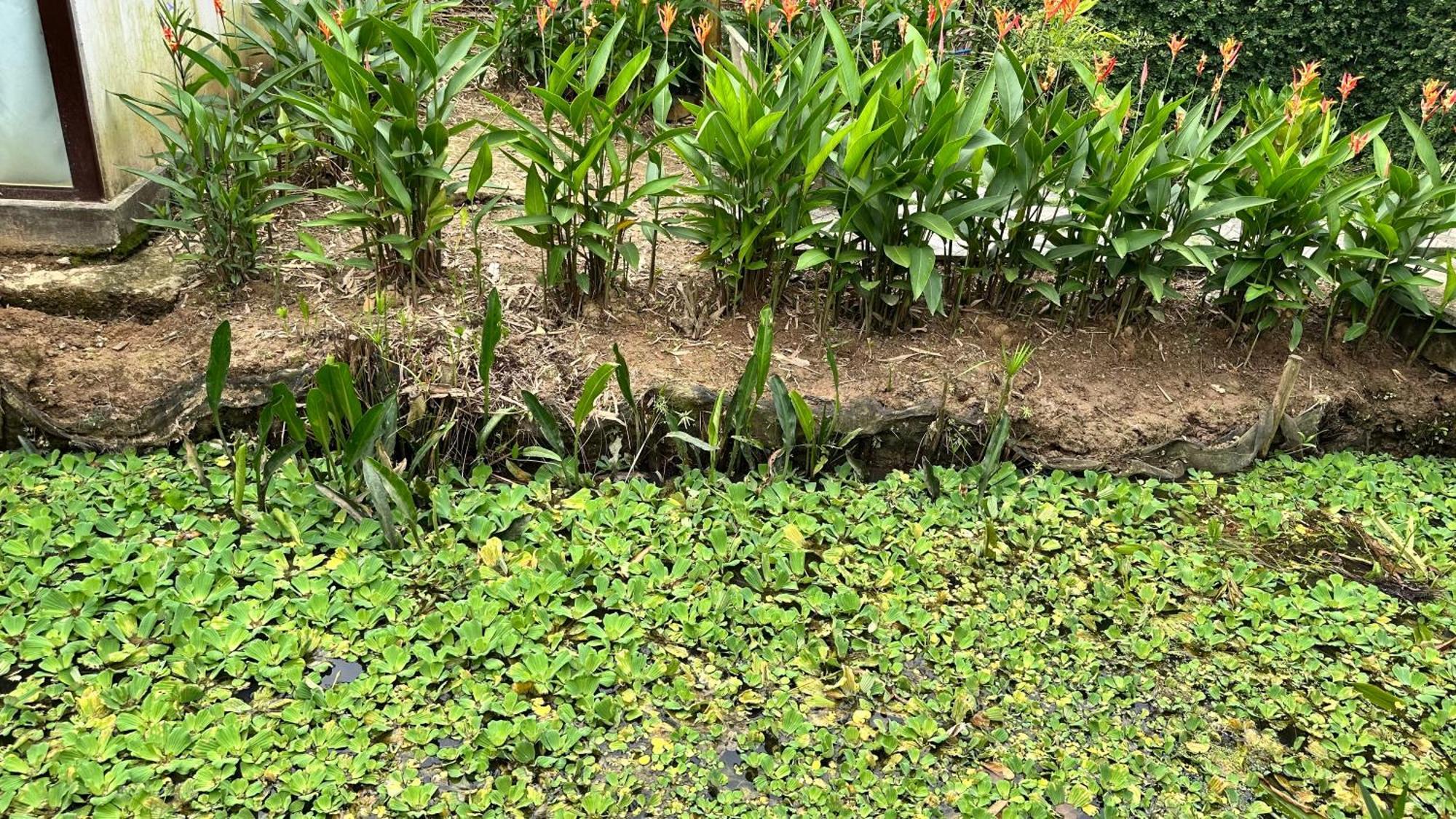 Hide Away Bungalows In Ben Tre City Екстериор снимка